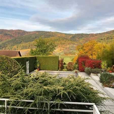 Logement De Charme Au Coeur De La Nature Osenbach Dış mekan fotoğraf