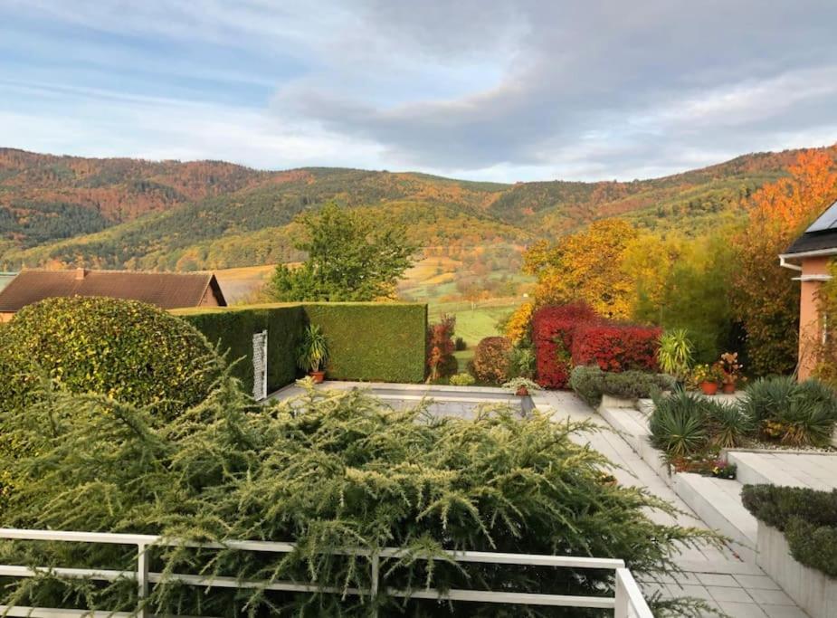 Logement De Charme Au Coeur De La Nature Osenbach Dış mekan fotoğraf
