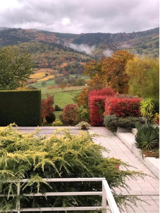 Logement De Charme Au Coeur De La Nature Osenbach Dış mekan fotoğraf
